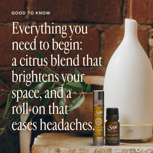 Best-Seller Discovery Set