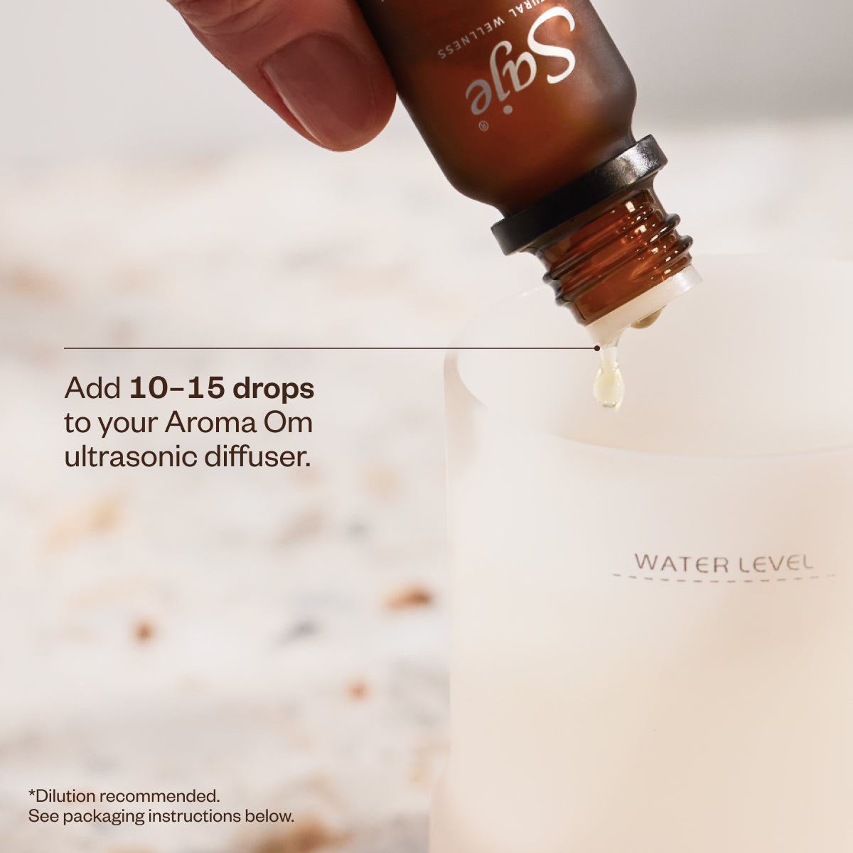 Best of Diffusion