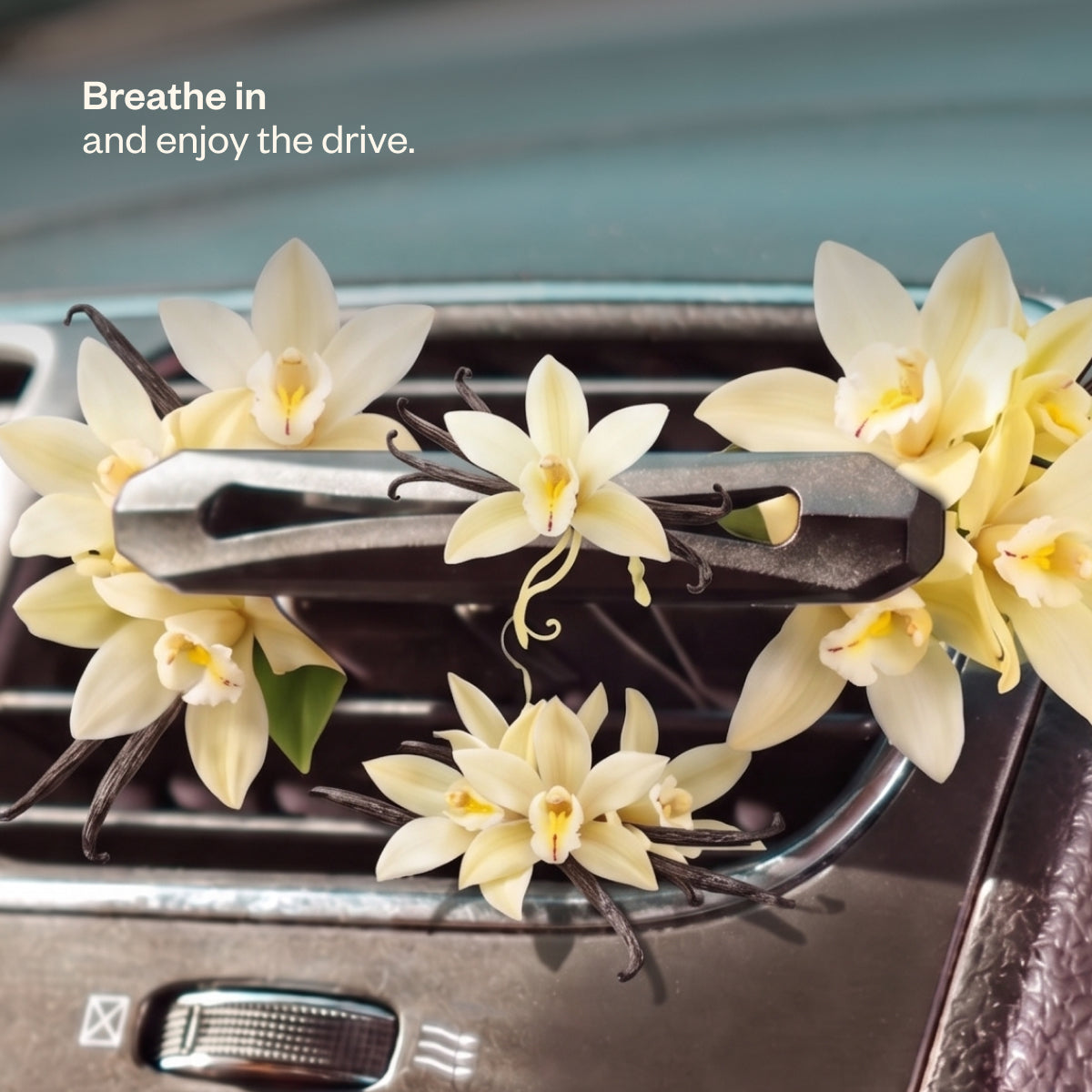 Drive Joyful