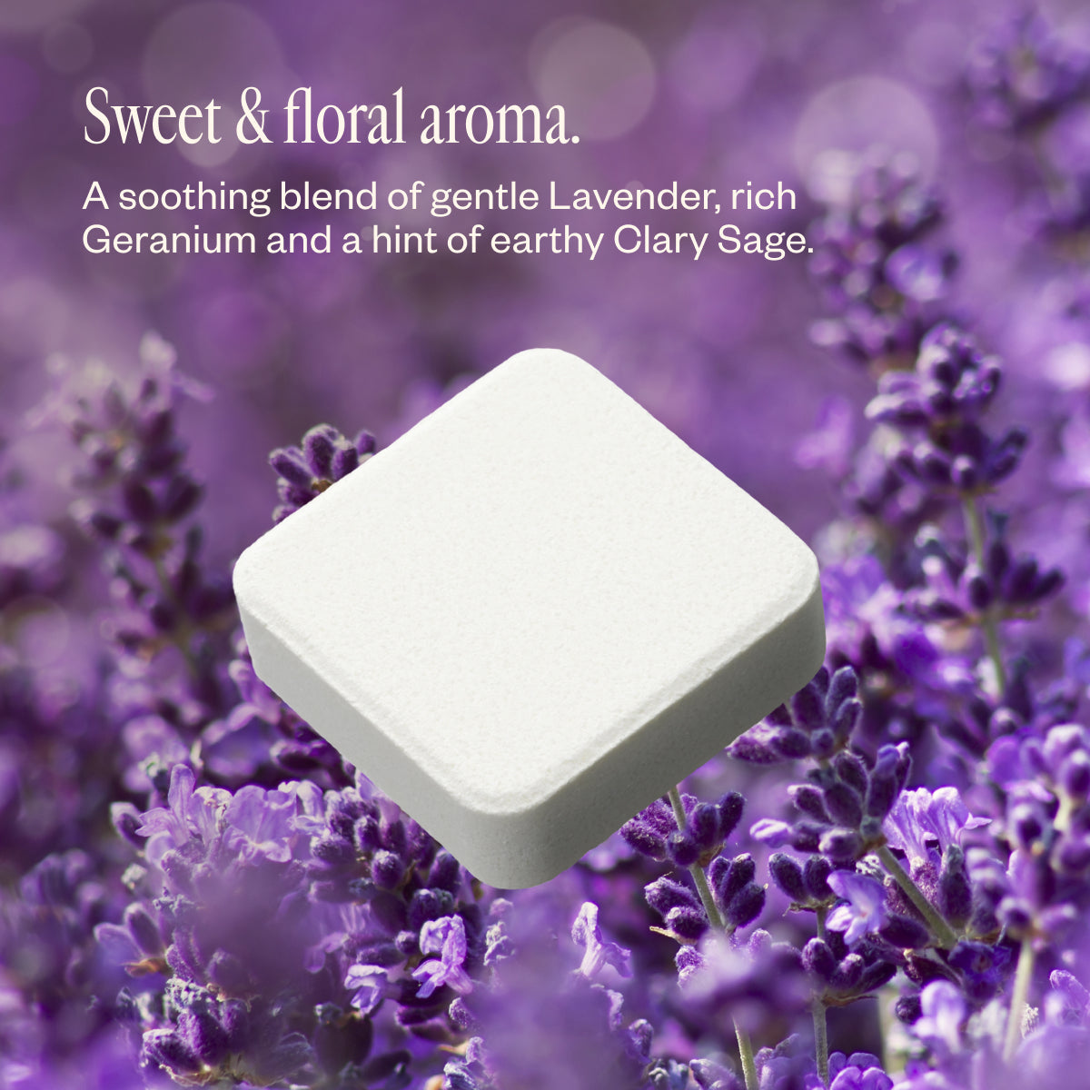 Lavender Bliss